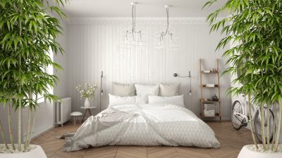 Serene Bedroom
